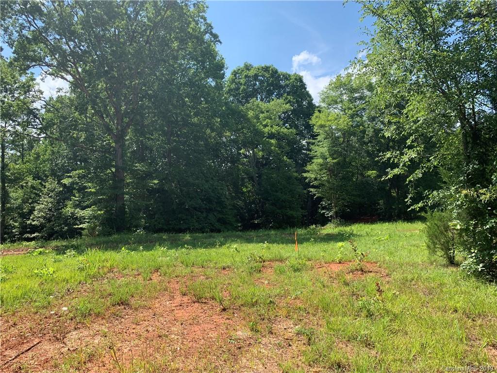 Lot 4 West Rebound Road, Unit 4 Lancaster, SC 29720 - Photo 2 of 12