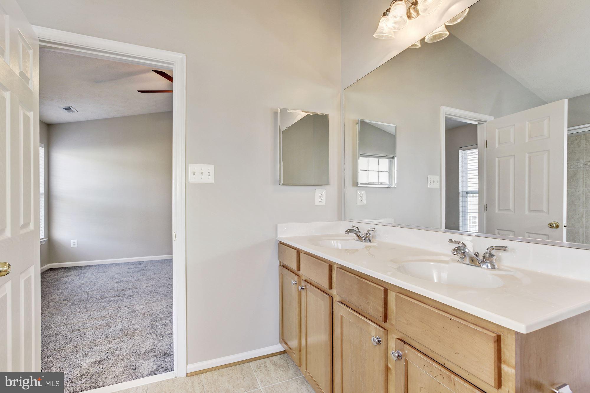 9709 Langley Road Baltimore, MD 21220 - Photo 17 of 31 Master Suite Bath