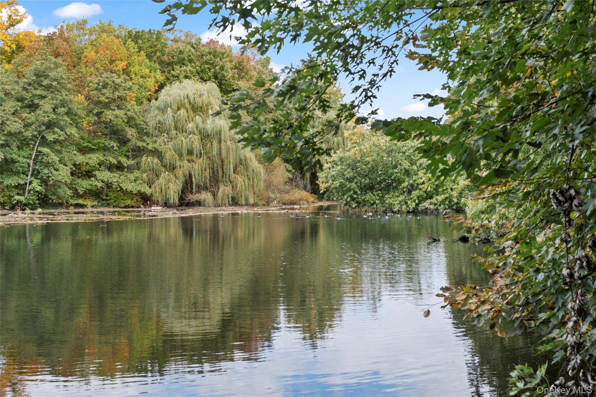 1 Rivermere, Unit 5A Bronxville, NY 10708 - Photo 20 of 22