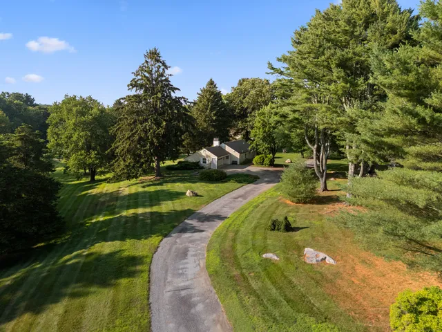 a view of a swimming pool with a yard and plants