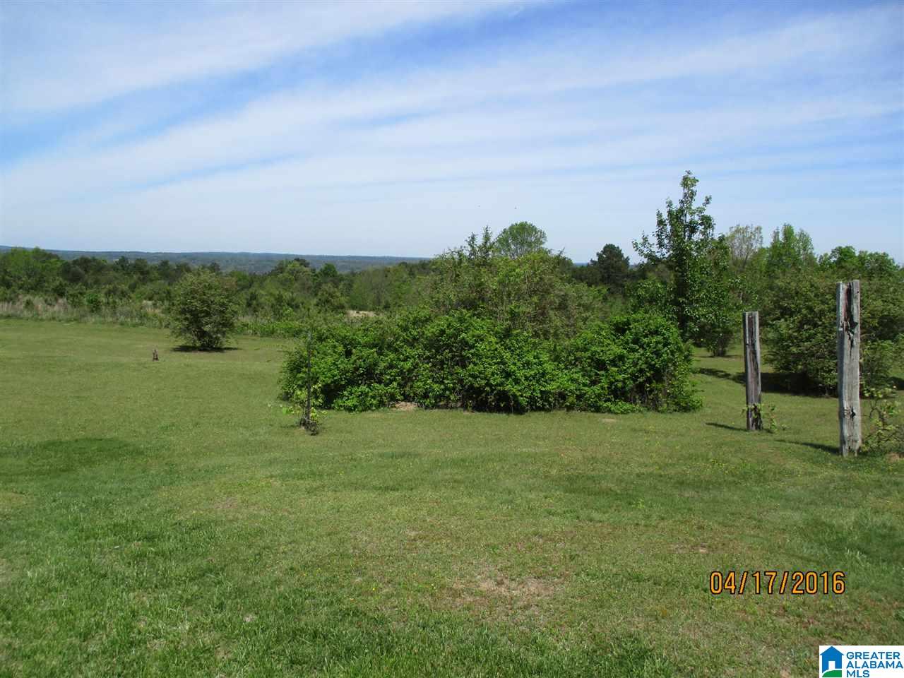 2253 Cliff Springs Road Oneonta, AL 35121 - Photo 15 of 50 Gallery Image 15