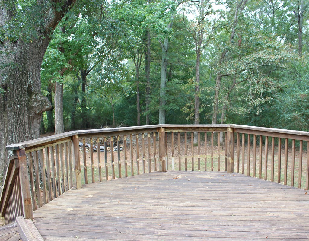 439 Dumas Road Forsyth, GA 31029 - Photo 10 of 11 Additional Photo
