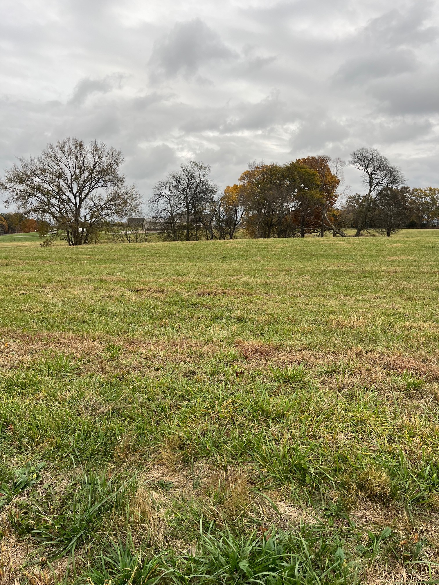 0 Glen Raven Road Cedar Hill, TN 37032 - Photo 1 of 6 a view of an ocean and a yard
