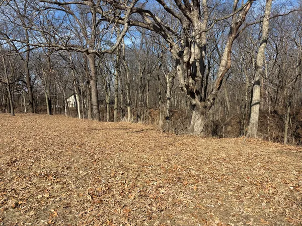 $3,800 | 595 Cardinal Drive, Varna, IL 61375