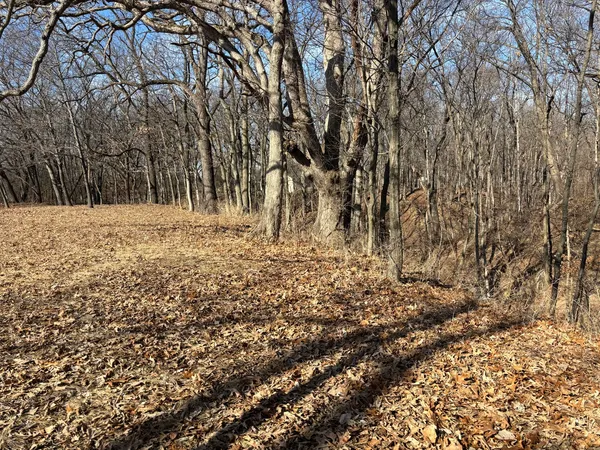 $3,800 | 595 Cardinal Drive, Varna, IL 61375