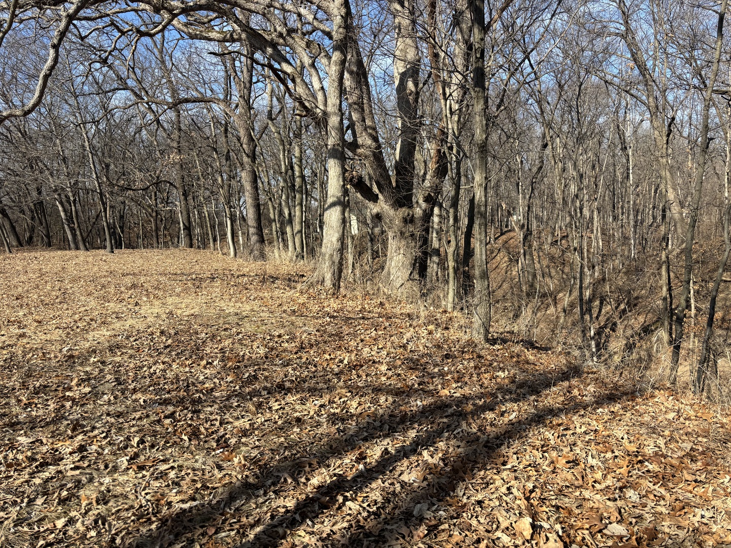 595 Cardinal Drive Varna, IL 61375 - Photo 3 of 8