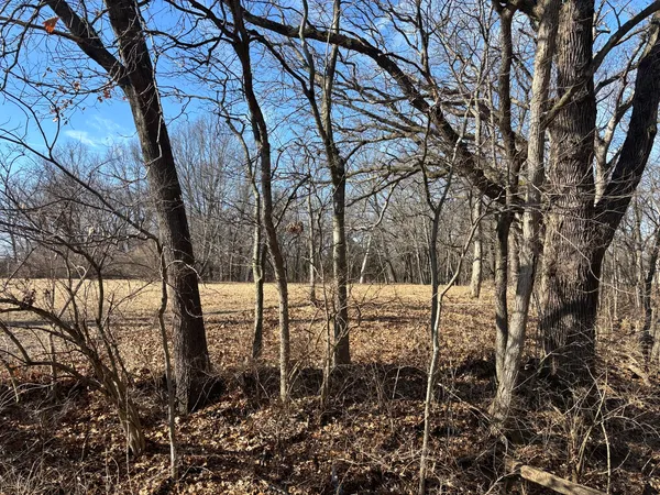 $3,800 | 595 Cardinal Drive, Varna, IL 61375