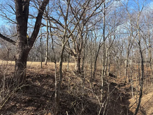 $3,800 | 595 Cardinal Drive, Varna, IL 61375