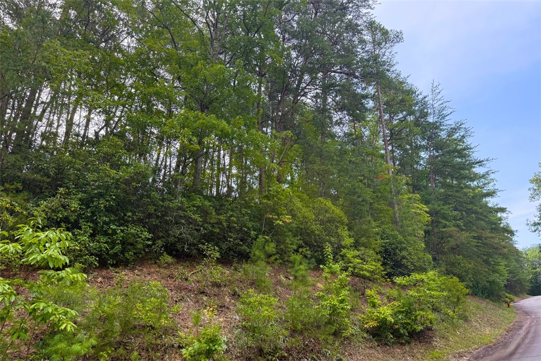 122 Teaberry Lane Sunset, SC 29685 - Photo 11 of 19