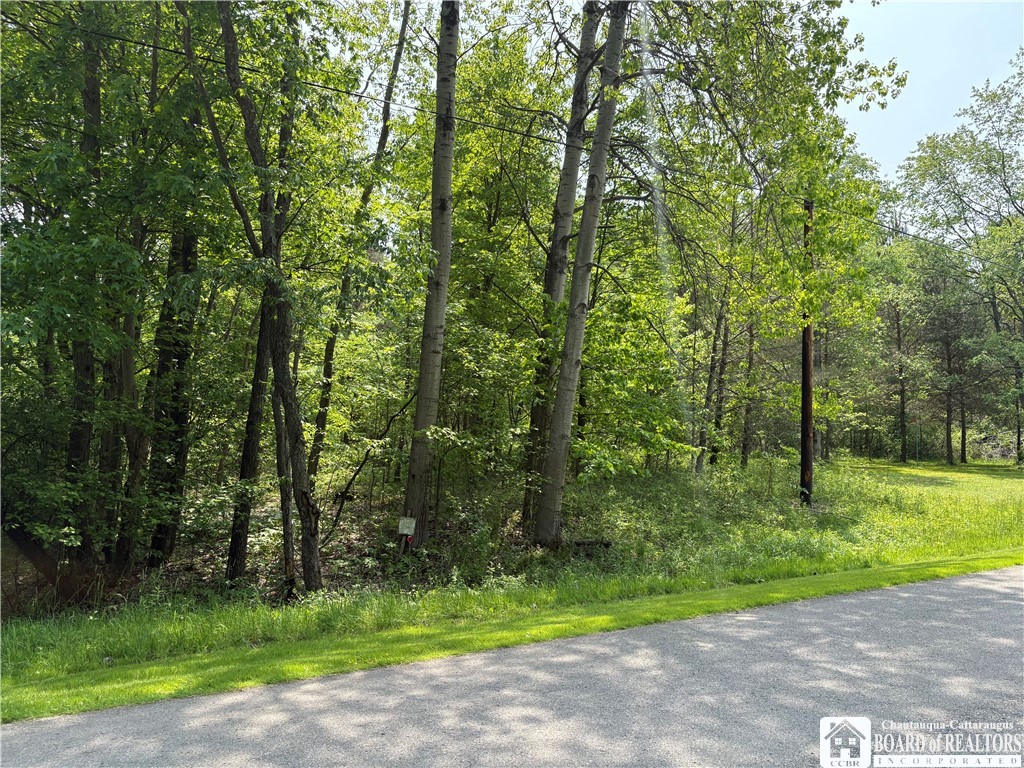 Burton Road Jamestown, NY 14701 - Photo 3 of 7