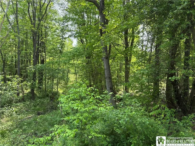 $40,000 | Burton Road, Jamestown, NY 14701