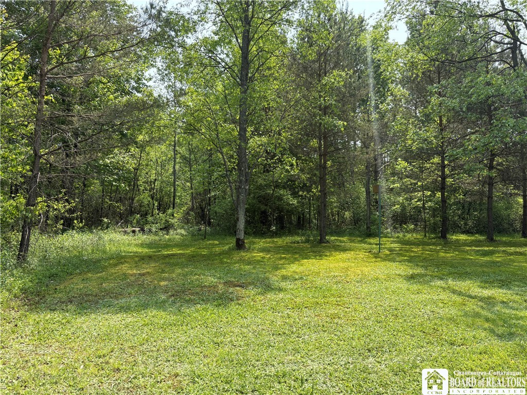 Burton Road Jamestown, NY 14701 - Photo 5 of 7