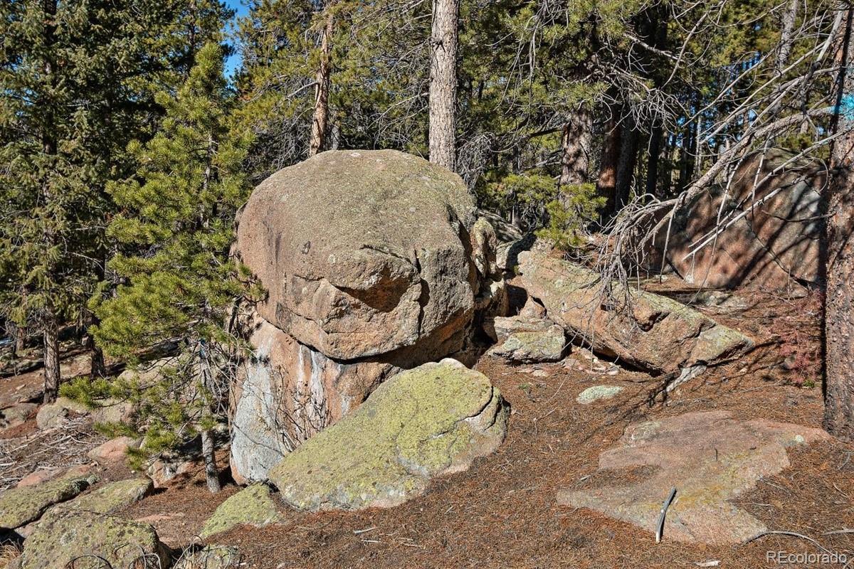 11275 Bear Run Trail Conifer, CO 80433 - Photo 11 of 21