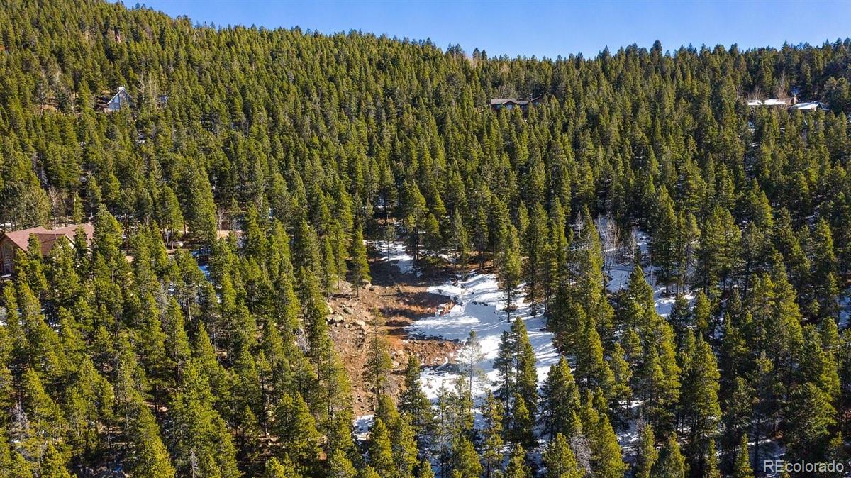 11275 Bear Run Trail Conifer, CO 80433 - Photo 13 of 21