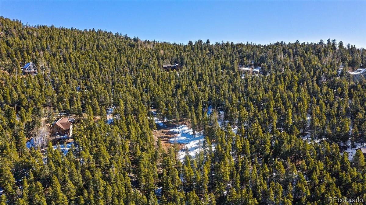 11275 Bear Run Trail Conifer, CO 80433 - Photo 14 of 21