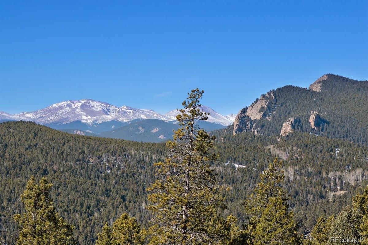 11275 Bear Run Trail Conifer, CO 80433 - Photo 15 of 21