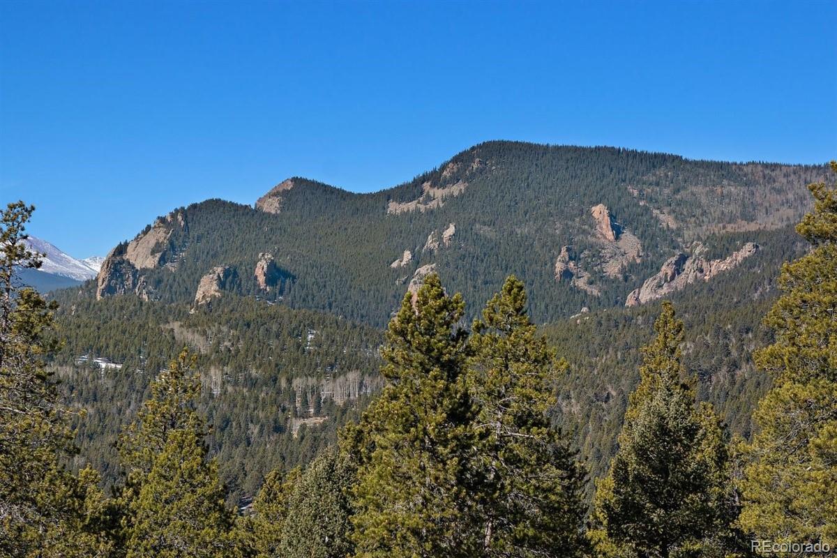 11275 Bear Run Trail Conifer, CO 80433 - Photo 16 of 21