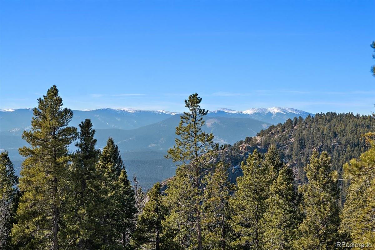 11275 Bear Run Trail Conifer, CO 80433 - Photo 17 of 21