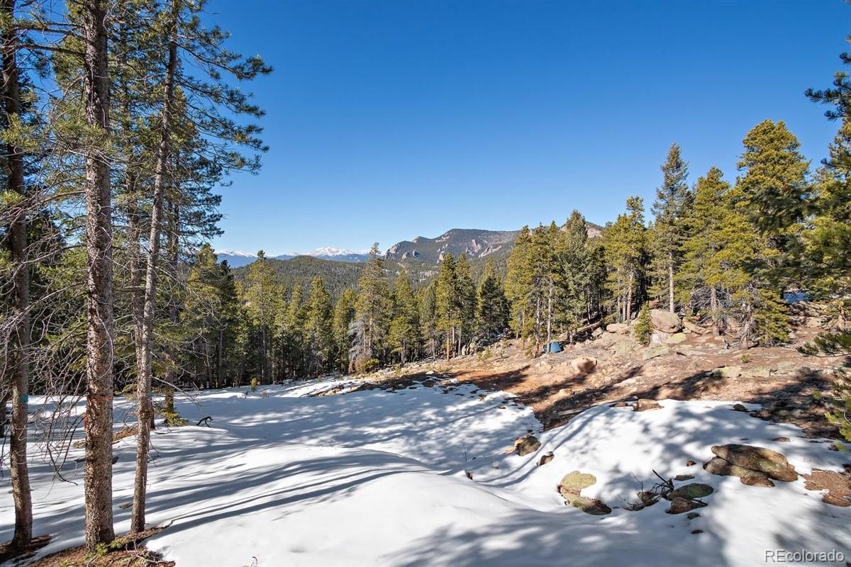 11275 Bear Run Trail Conifer, CO 80433 - Photo 2 of 21