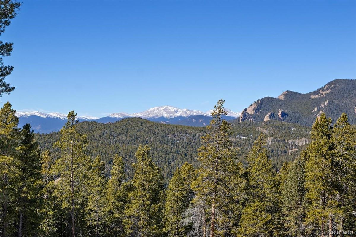 11275 Bear Run Trail Conifer, CO 80433 - Photo 3 of 21