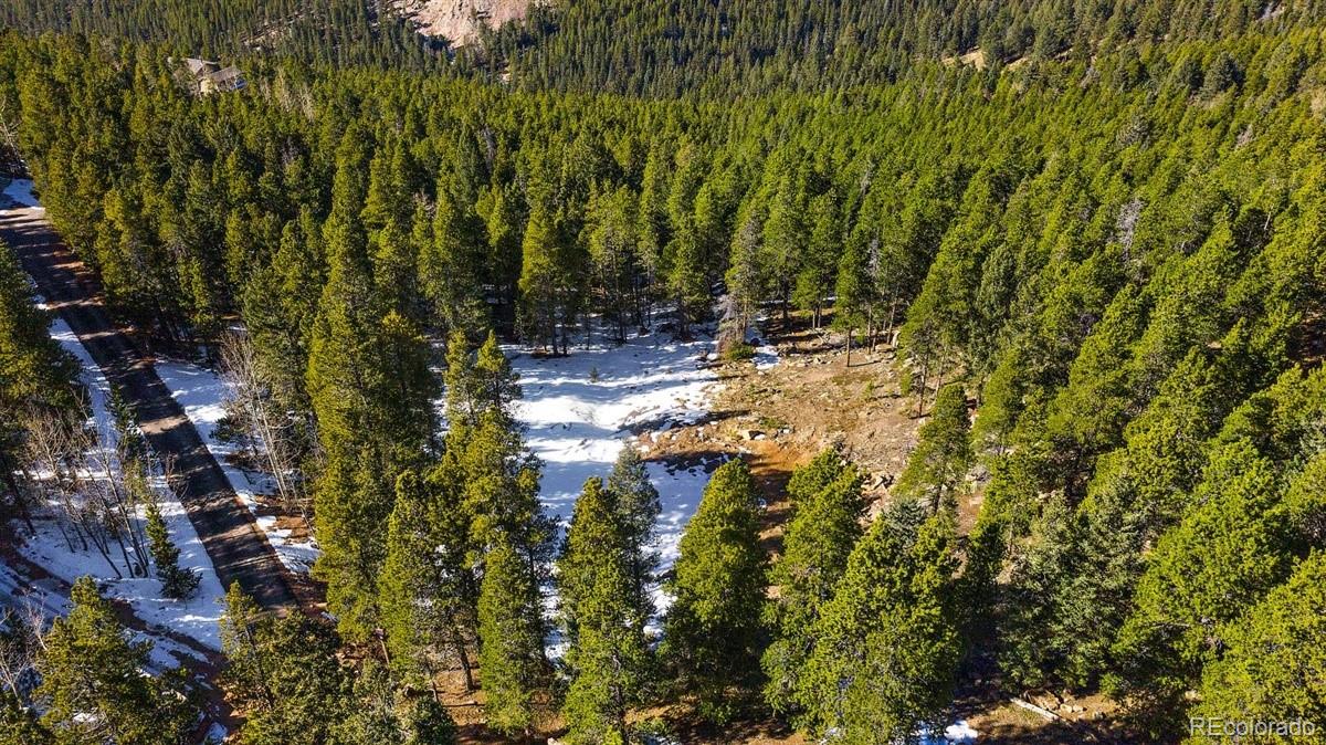 11275 Bear Run Trail Conifer, CO 80433 - Photo 4 of 21