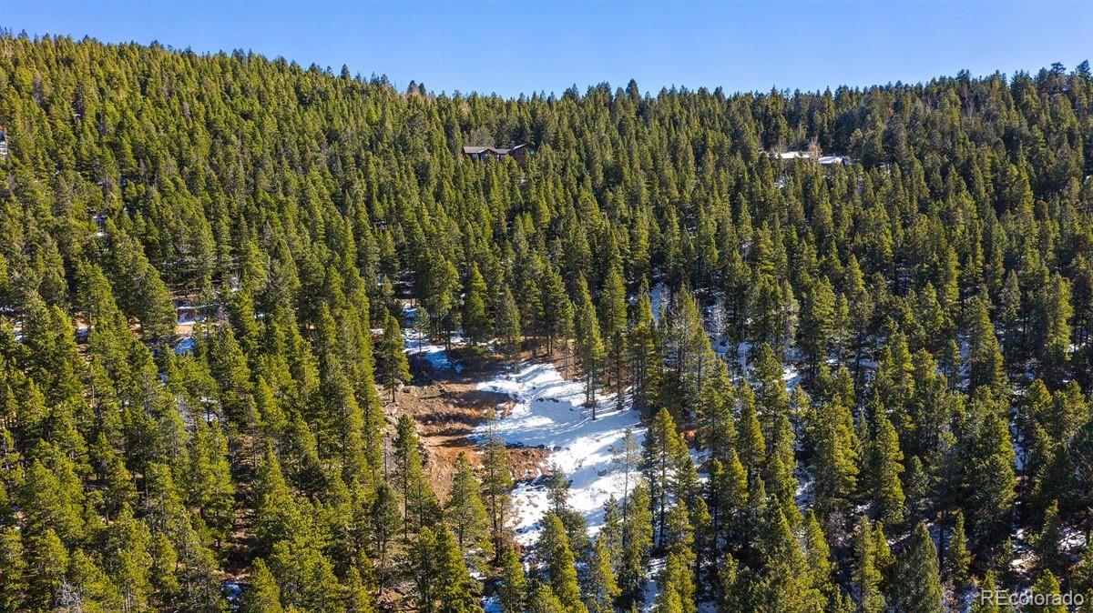11275 Bear Run Trail Conifer, CO 80433 - Photo 5 of 21