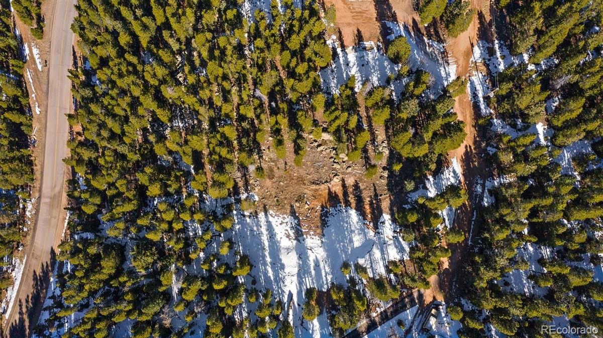 11275 Bear Run Trail Conifer, CO 80433 - Photo 6 of 21