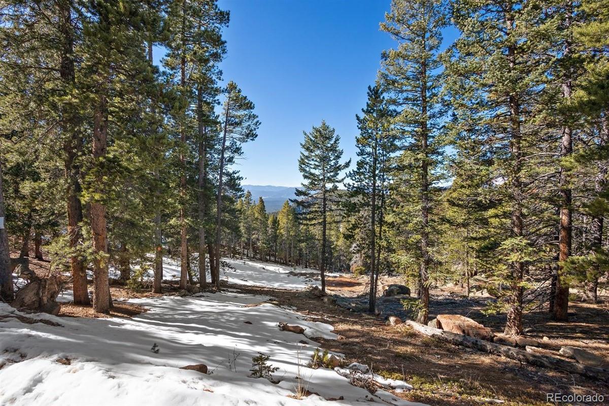 11275 Bear Run Trail Conifer, CO 80433 - Photo 8 of 21