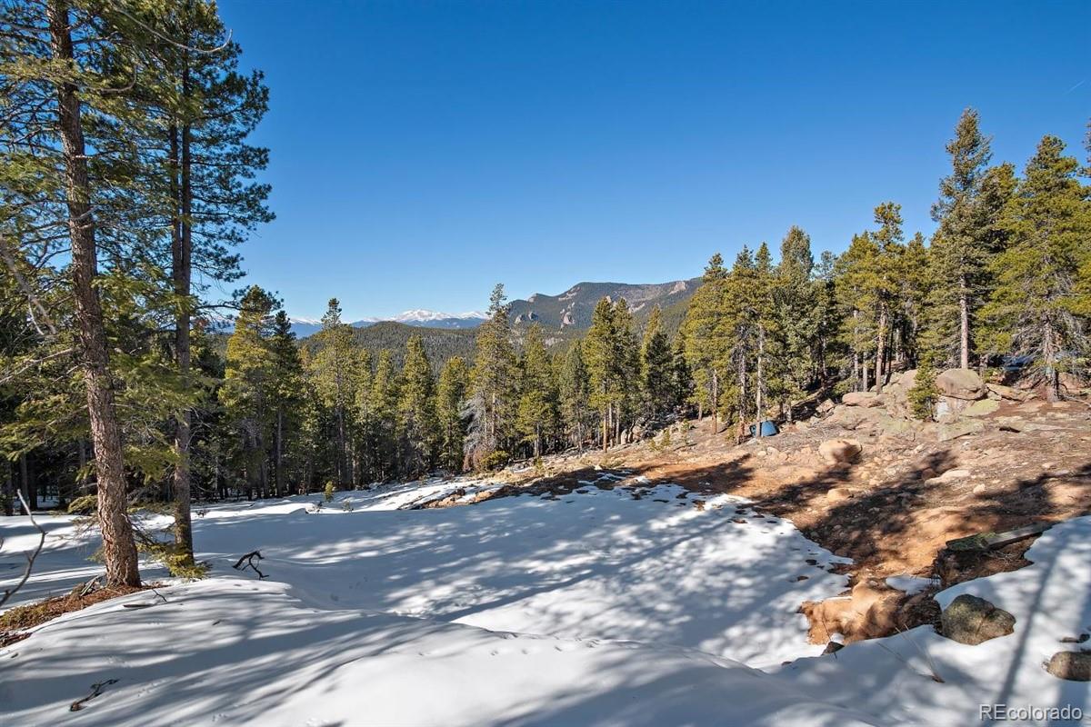 11275 Bear Run Trail Conifer, CO 80433 - Photo 10 of 21