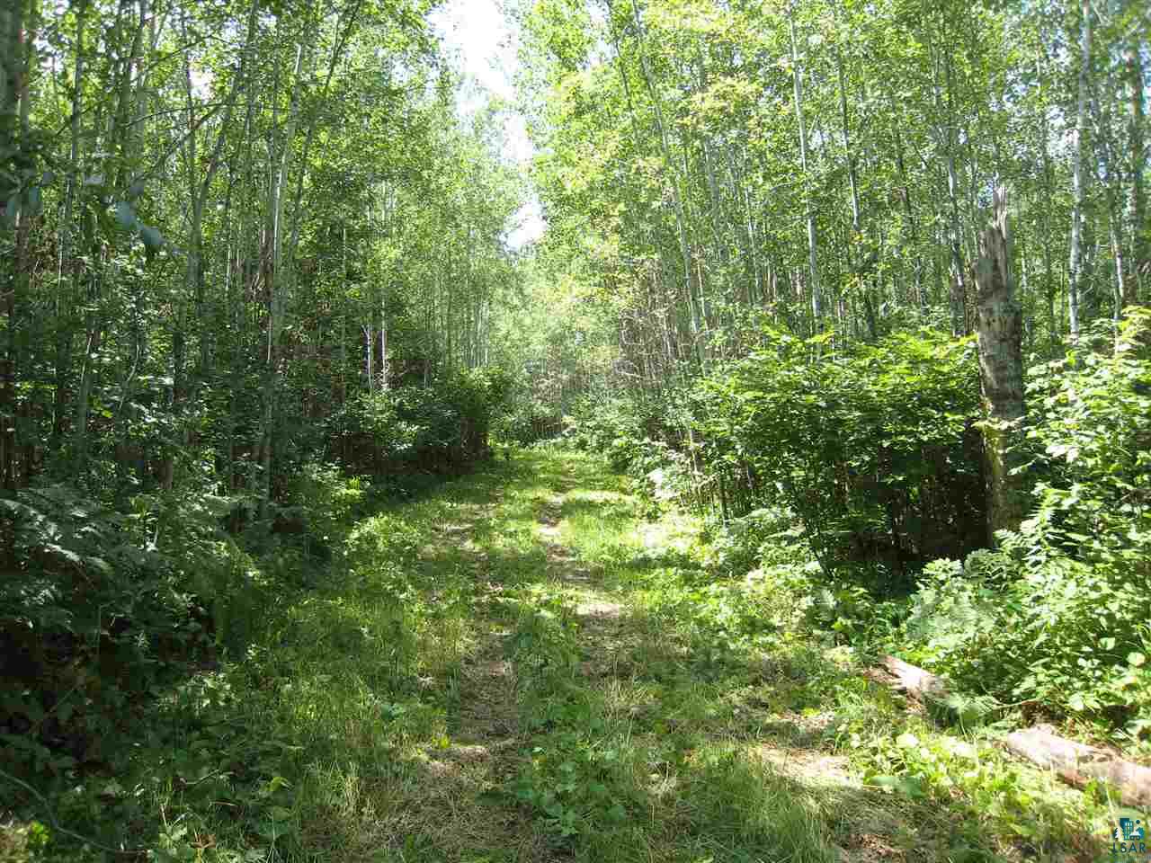 1835 Lee Road Cotton, MN 55724 - Photo 5 of 21 Gallery Image 5