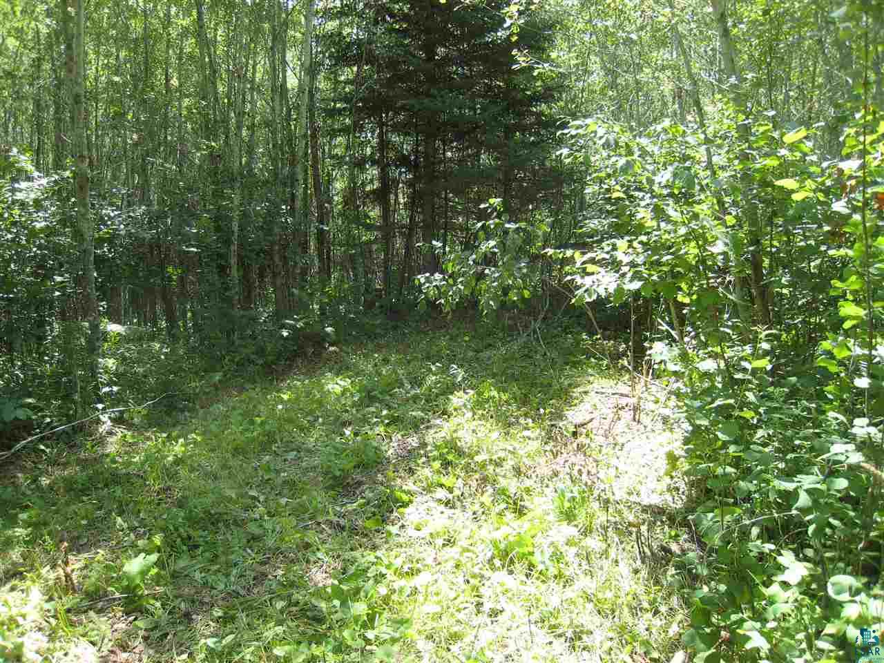1835 Lee Road Cotton, MN 55724 - Photo 8 of 21 Gallery Image 8