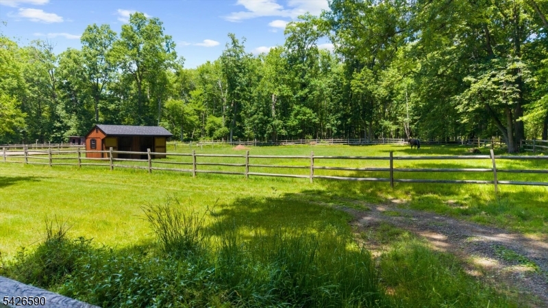 179 Lindbergh Road Hopewell, NJ 08525 - Photo 41 of 46 a view of a big yard with a small trees