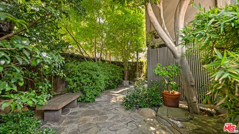 a view of a backyard with potted plants