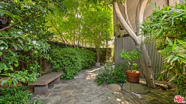 a view of a backyard with potted plants