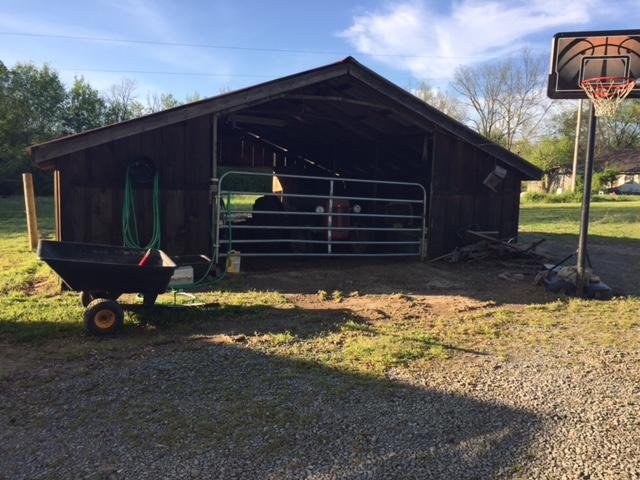 225 Haney Branch Road Newport, TN 37821 - Photo 5 of 13 IMG_3783