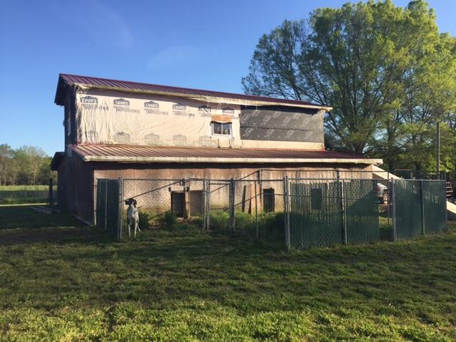 225 Haney Branch Road Newport, TN 37821 - Photo 7 of 13 IMG_3786