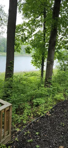 $875,000 | 21932 Buffalo Lane, Cassopolis, MI 49031