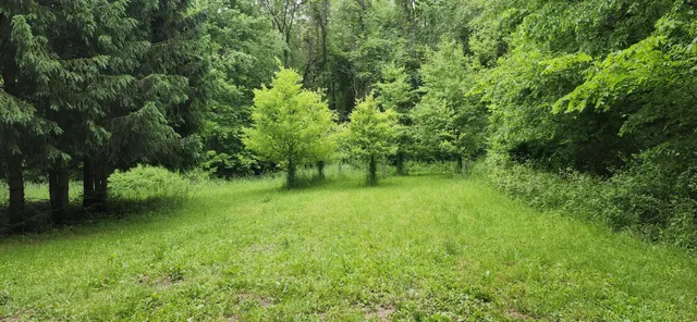 $875,000 | 21932 Buffalo Lane, Cassopolis, MI 49031