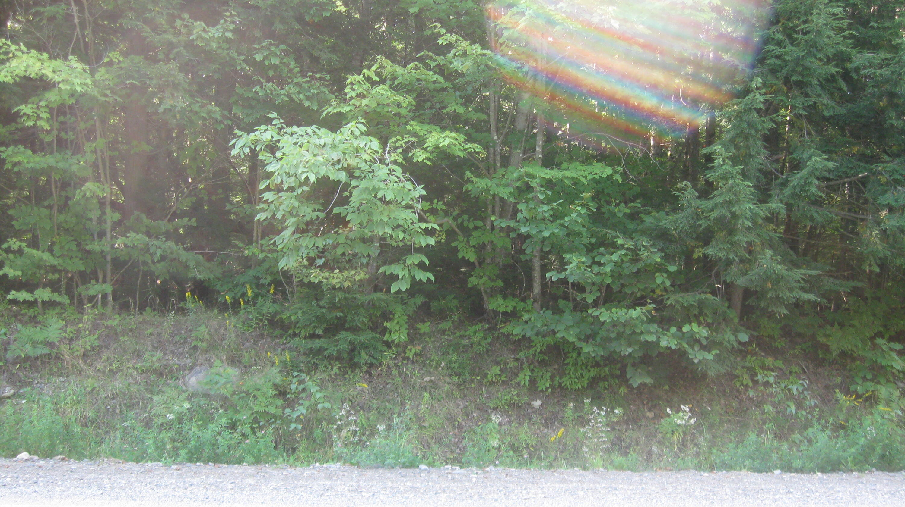 R6-05 Mattmiscontis Road Howland, ME 04448 - Photo 8 of 9 Roadside