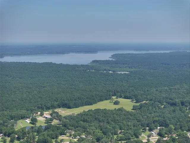 a view of a lake in middle of forest