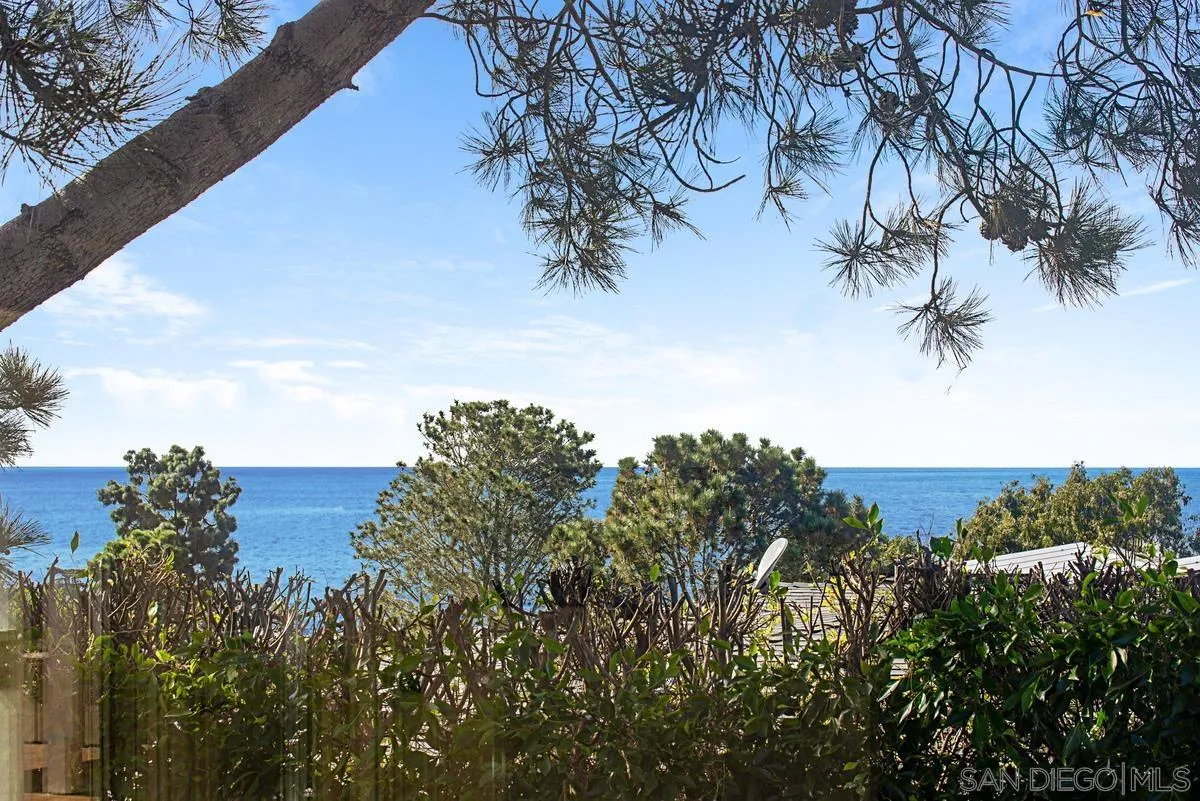 573 Amphitheatre Drive Del Mar, CA 92014 - Photo 22 of 42