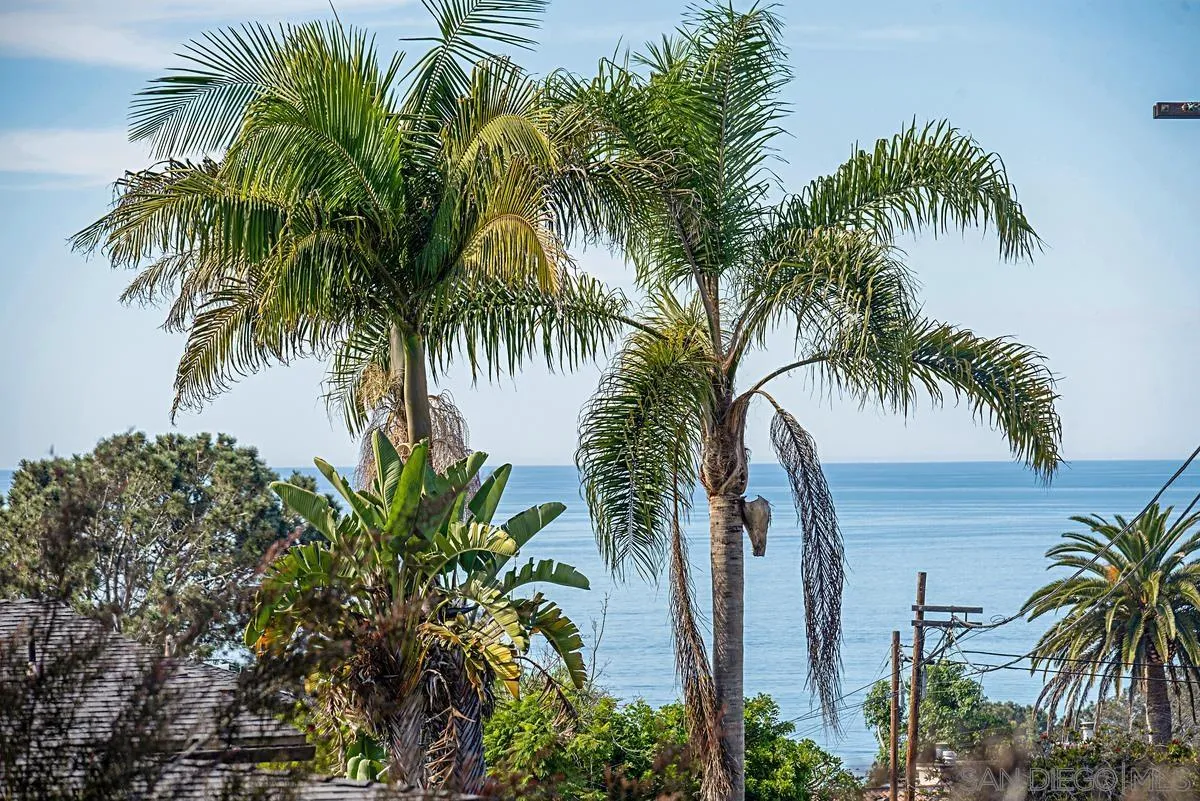 573 Amphitheatre Drive Del Mar, CA 92014 - Photo 29 of 42