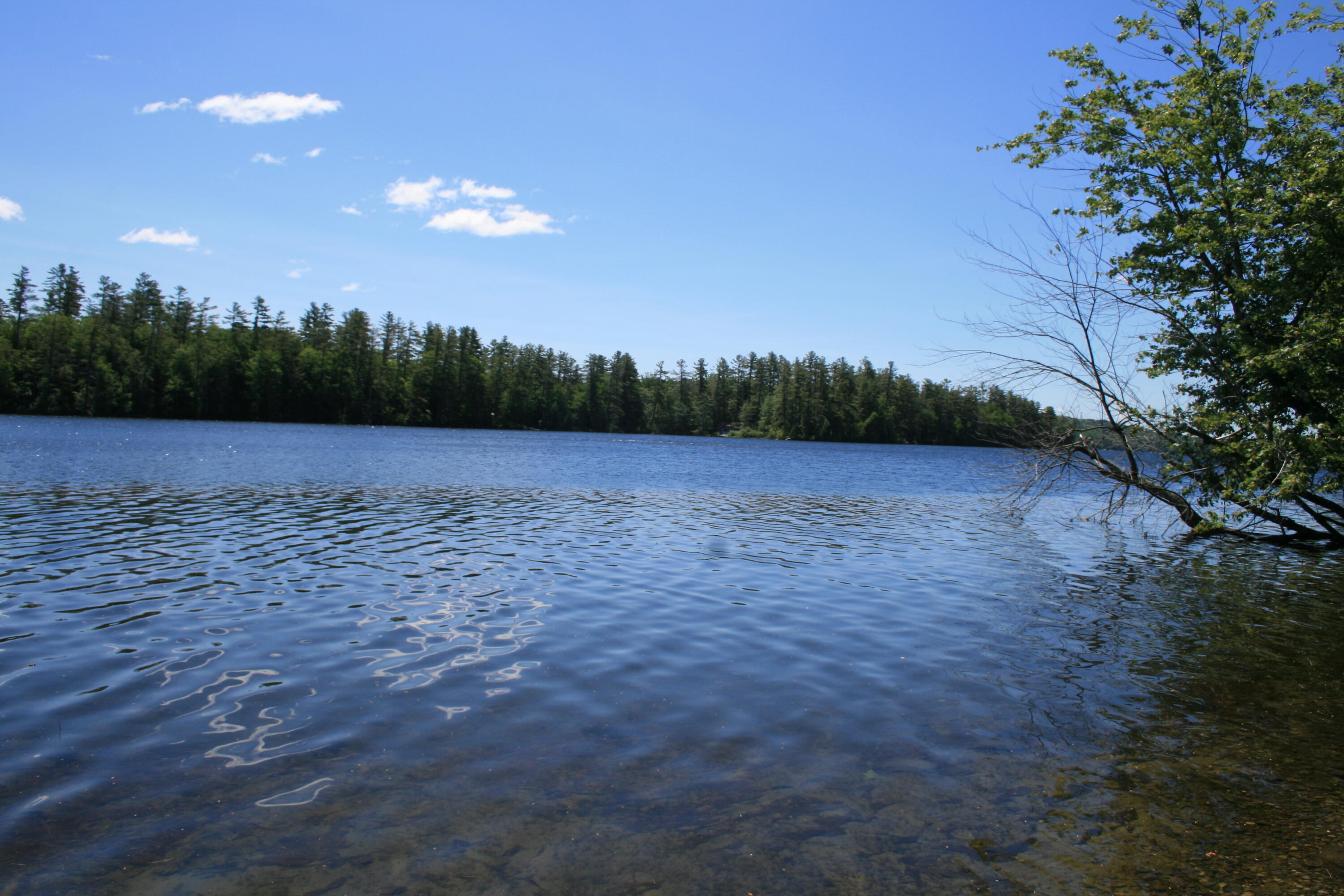 127 North Campers Point Road Winthrop, ME 04364 - Photo 42 of 45 W3