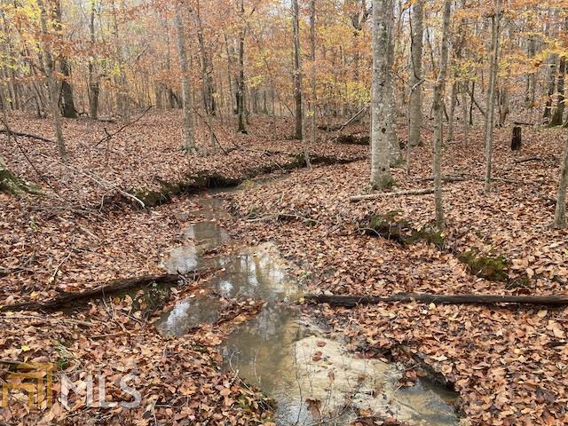 0 West James Posey Road Junction City, GA 31812 - Photo 1 of 1 Gallery Image 1