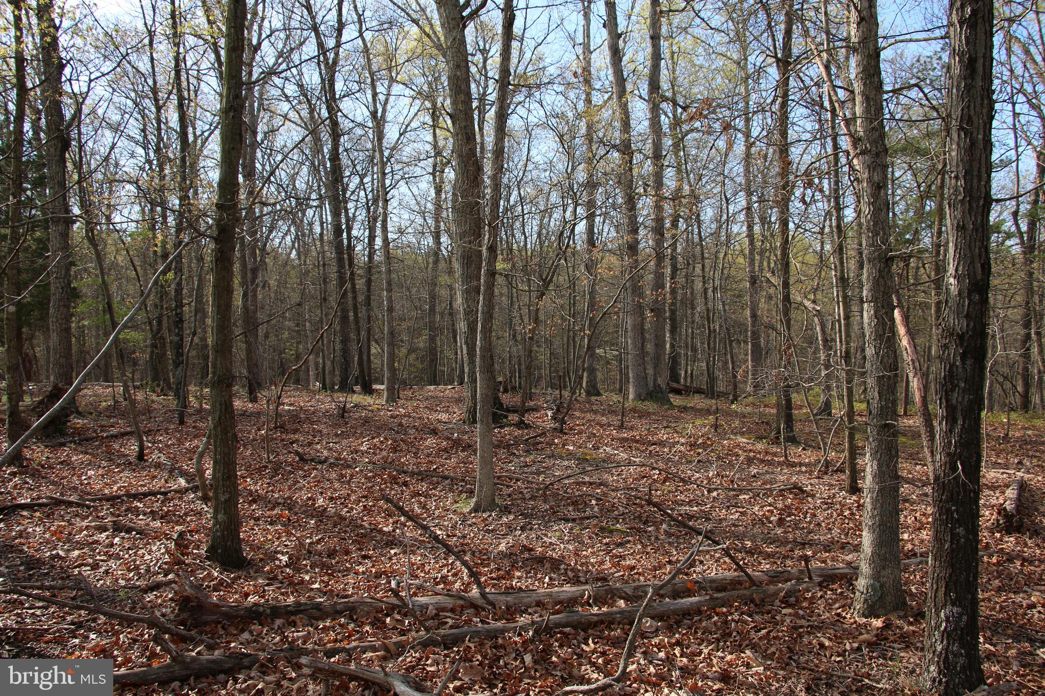 2339 Green Spring Road Winchester, VA 22603 - Photo 24 of 85 Gallery Image 24