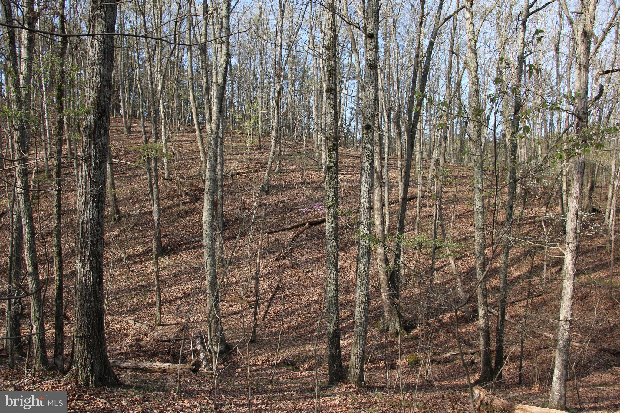 2339 Green Spring Road Winchester, VA 22603 - Photo 25 of 85 Gallery Image 25