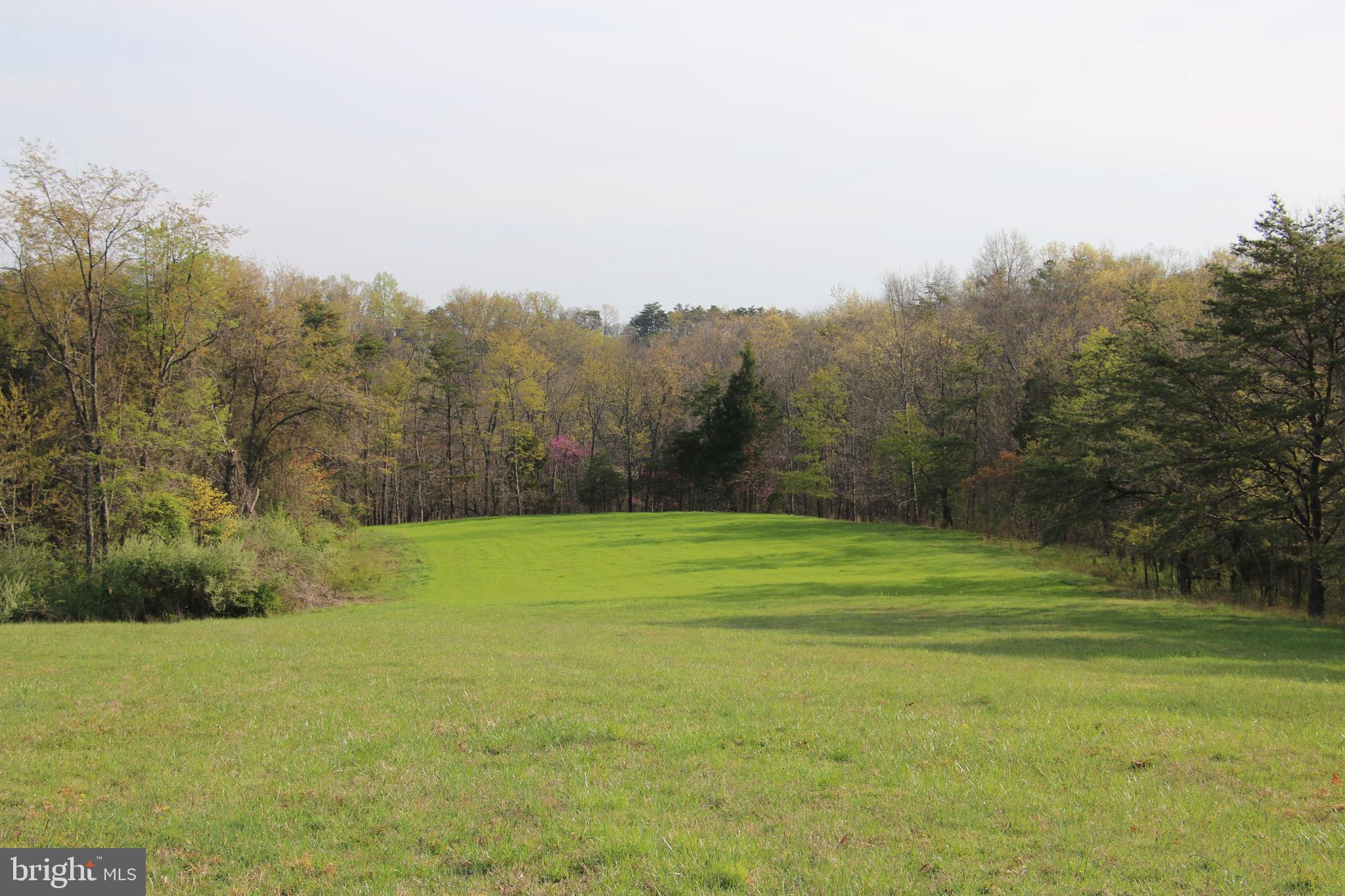 2339 Green Spring Road Winchester, VA 22603 - Photo 10 of 85 Gallery Image 10
