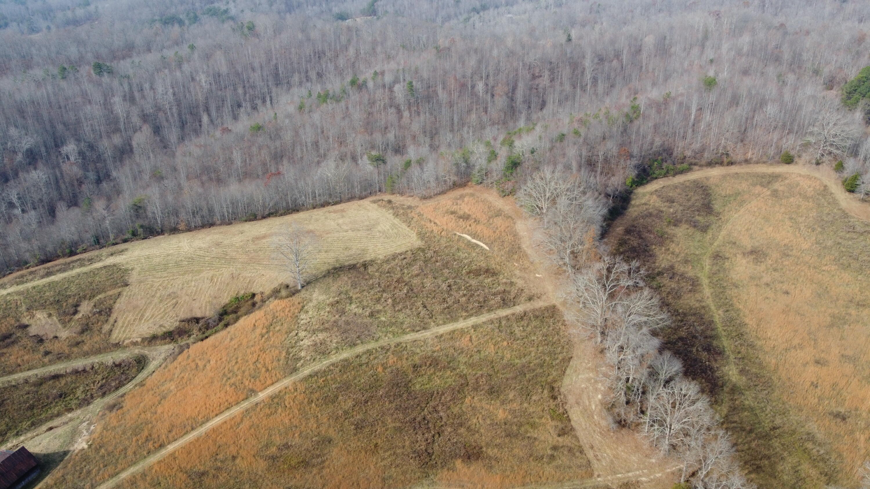 9999 Langdon Branch Road Annville, KY 40402 - Photo 3 of 13 DJI_0041