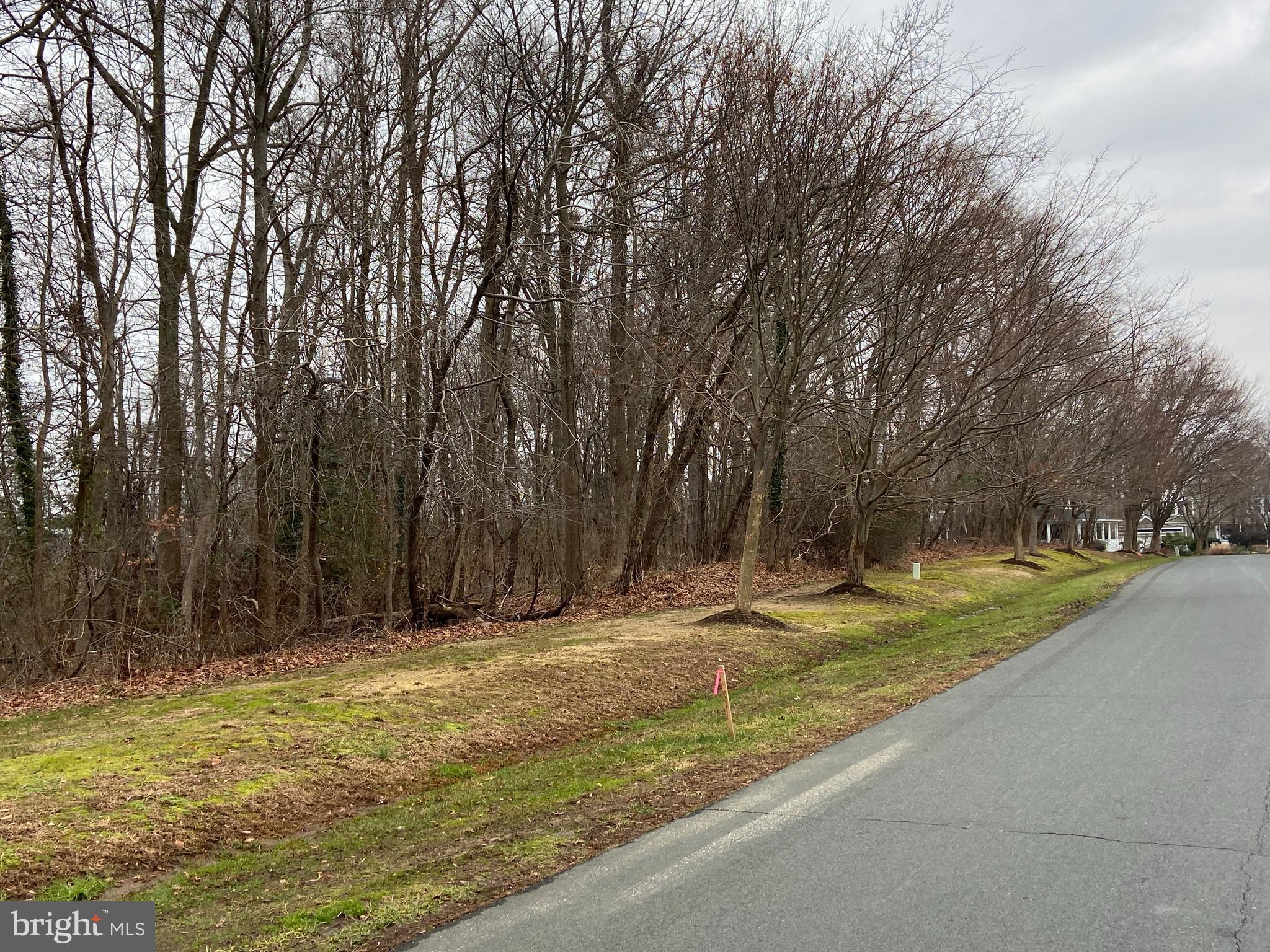 3448 Hidden River View Road Annapolis, MD 21403 - Photo 5 of 15