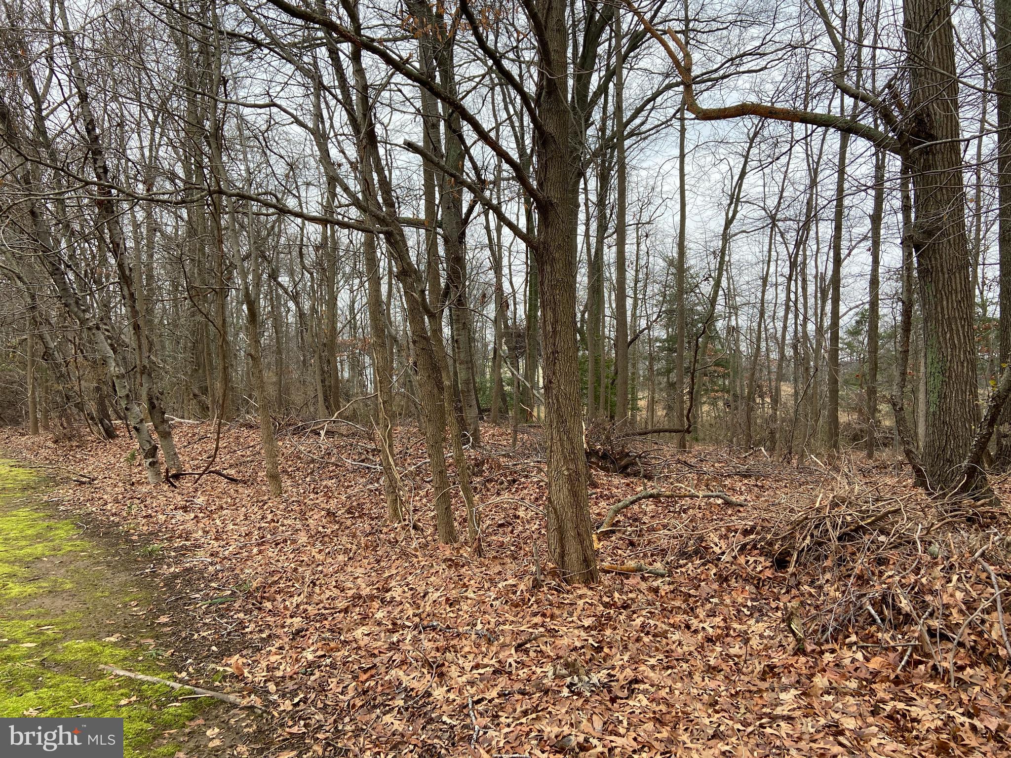 3448 Hidden River View Road Annapolis, MD 21403 - Photo 6 of 15